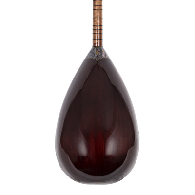 Çınar Ağacı Gövde Kısa Sap Bağlama